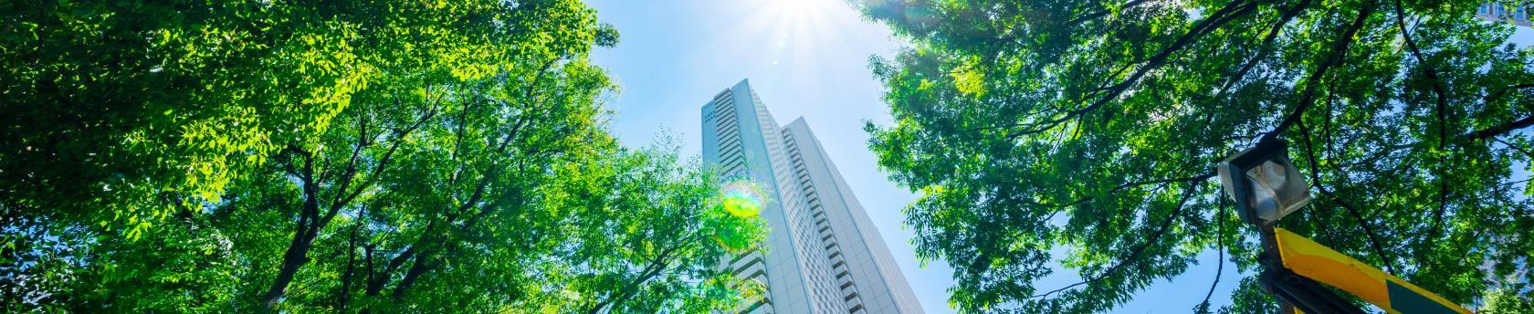 Sustainability Efforts