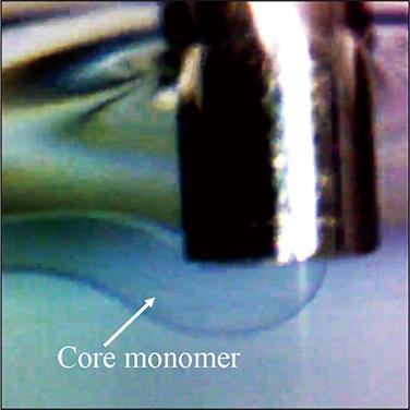 Formation of 3D Polymer Optical Waveguides